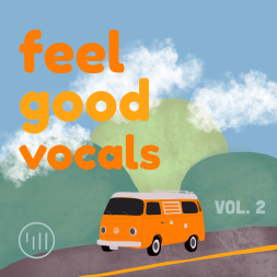 Feel Good Vocals Vol.2